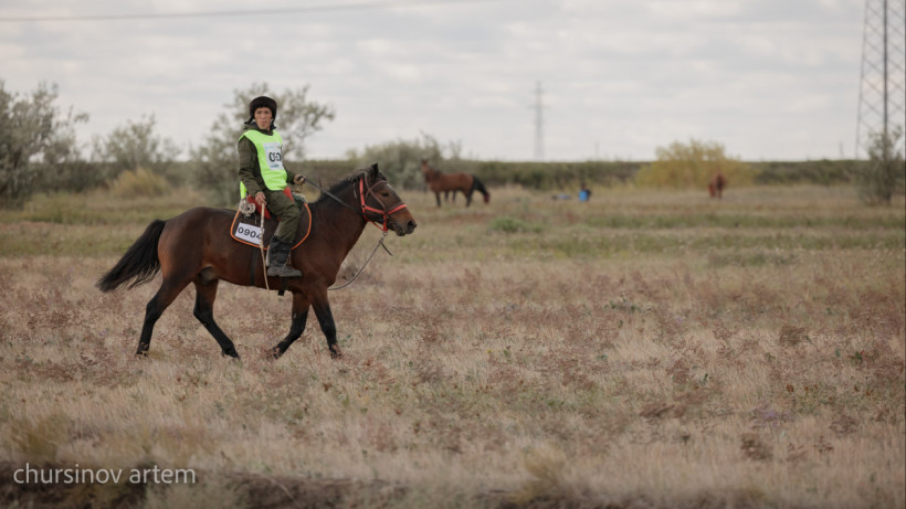  ©El.kz/Артем ЧУРСИНОВ 