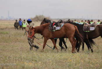 Законопроект о национальном спорте разработают в Казахстане