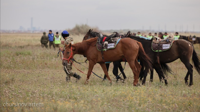  ©El.kz/Артем ЧУРСИНОВ 
