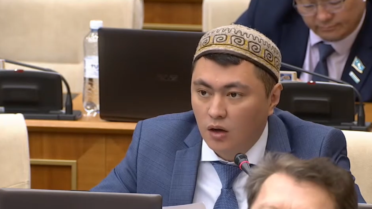  Видеодан кадр 