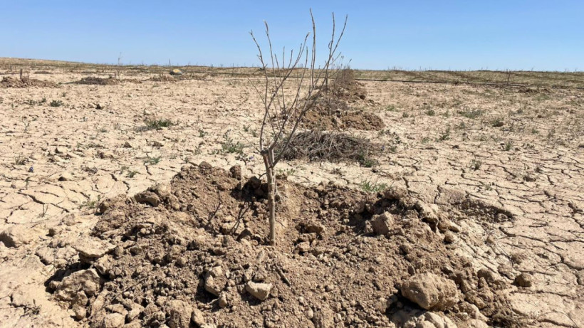  Пресс-служба акима Мангистауской области 