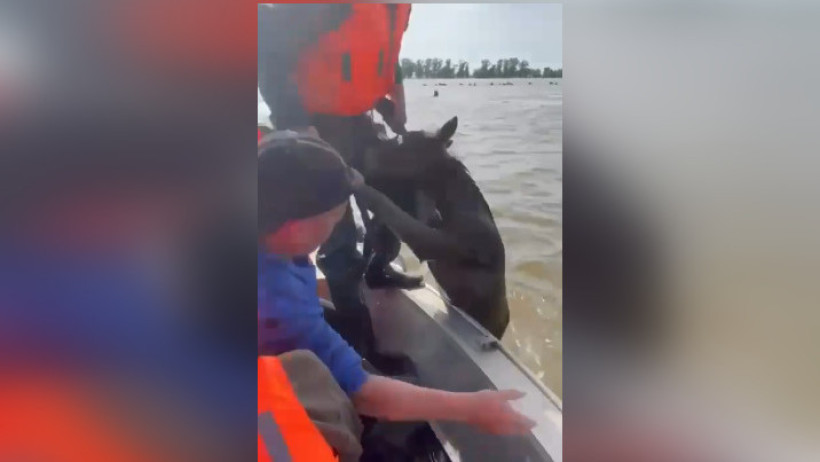  Кадр из видео 