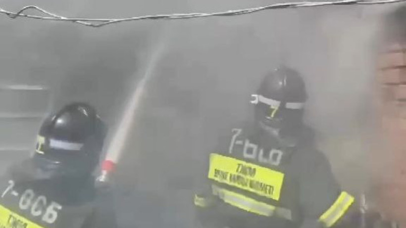  Видеодан кадр 