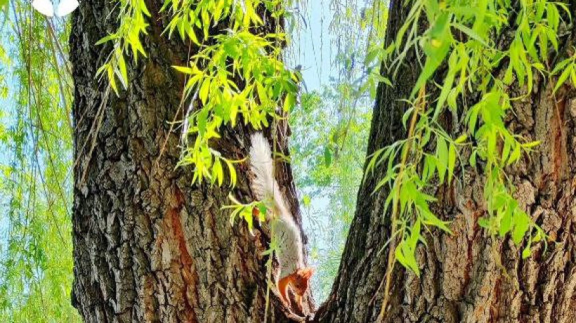  instagram.com/botsadkz 