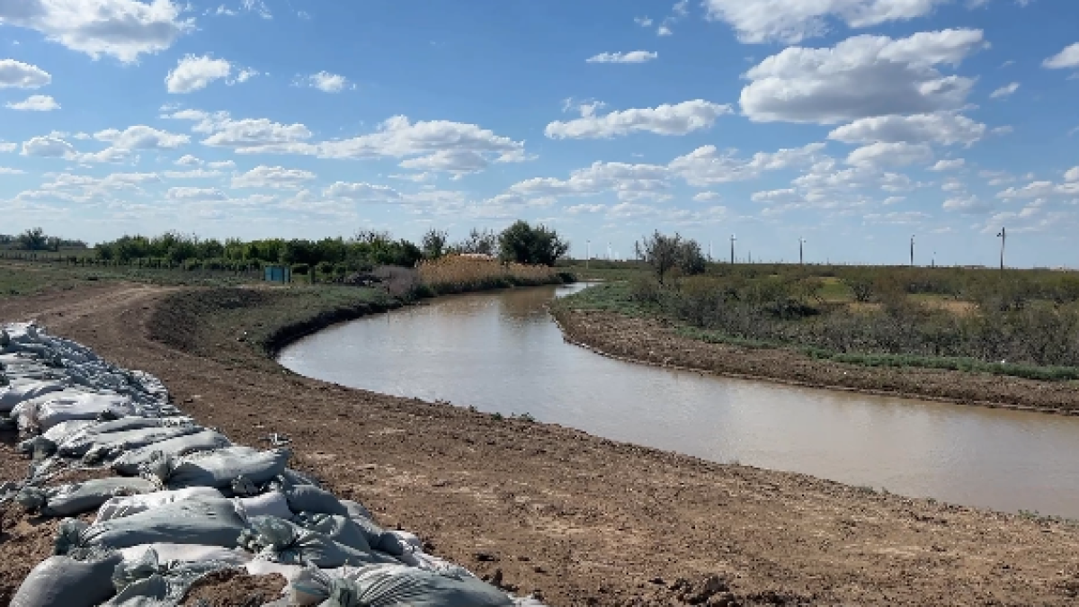  кадр из видео 