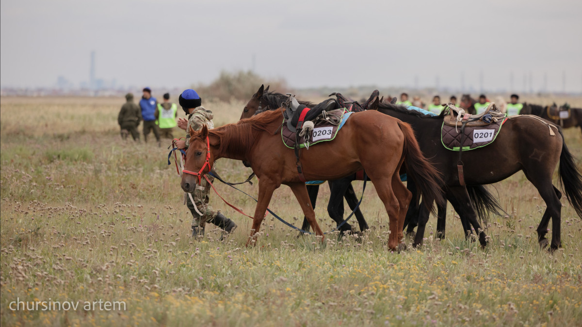  ©El.kz/Артем ЧУРСИНОВ 