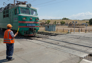11 коз попали под поезд в Кызылординской области