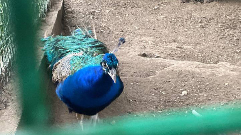  ©El.kz/Ербол БЕКБОЛАТ 