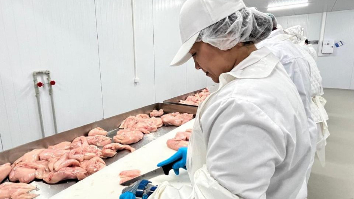  Ақмола облысы әкімдігі 