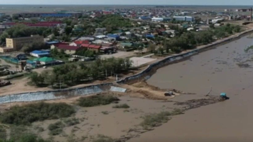  Видеодан кадр 