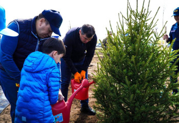 ТЖМ өкілдері Астанада 30-ға жуық шырша көшетін отырғызды