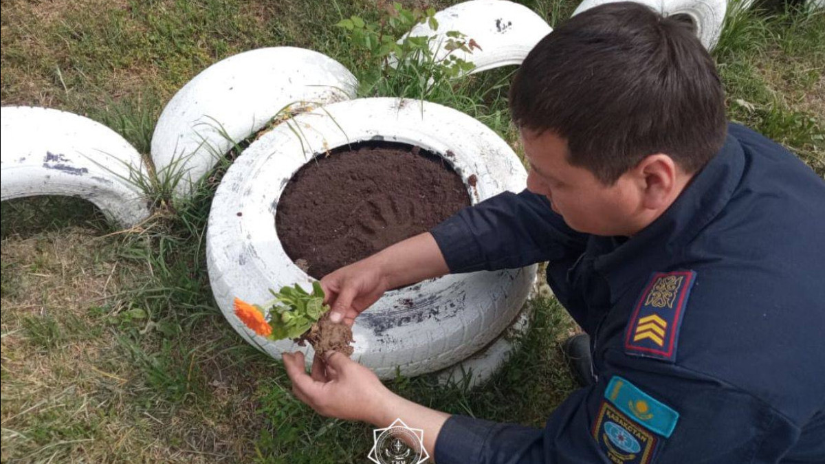 Shymkent firefighters plant about 500 flowers