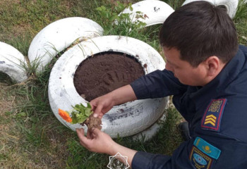 Shymkent firefighters plant about 500 flowers