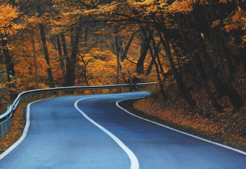 Енді тұтас бір сызықты кесіп өткендер жүргізуші куәлігінен айырылады