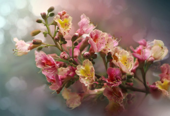 Мереке күндері ауа райы қандай болады