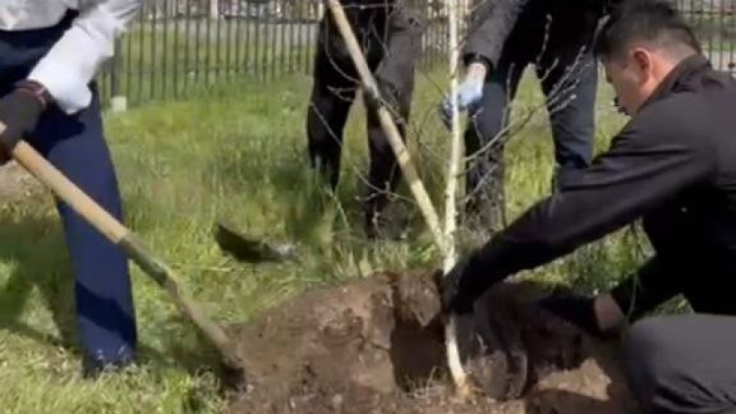  Видеодан кадр 