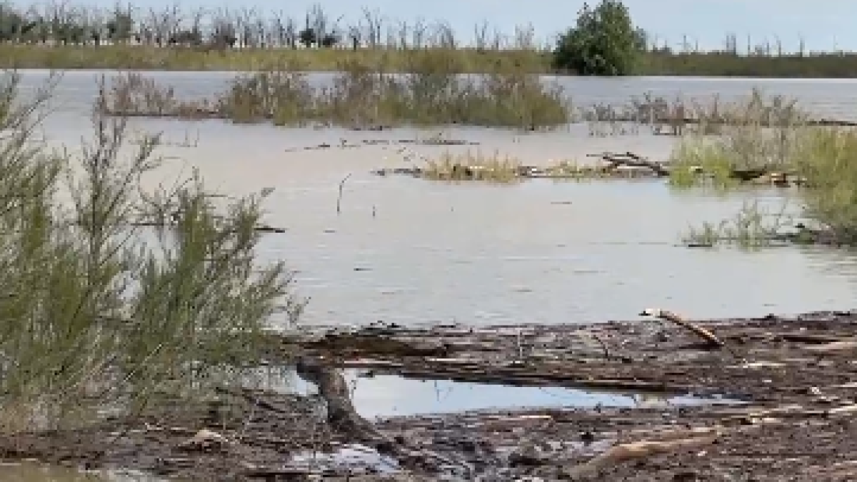  Видеодан кадр 