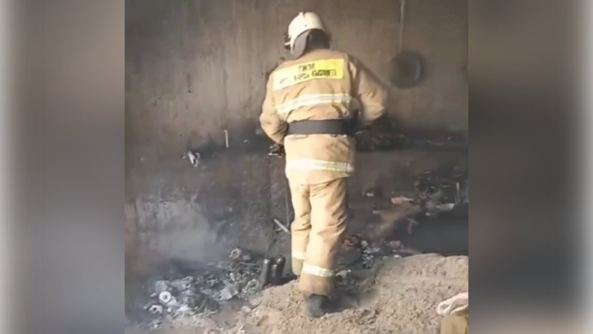  Видеодан кадр 