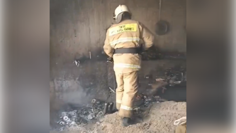  Видеодан кадр 