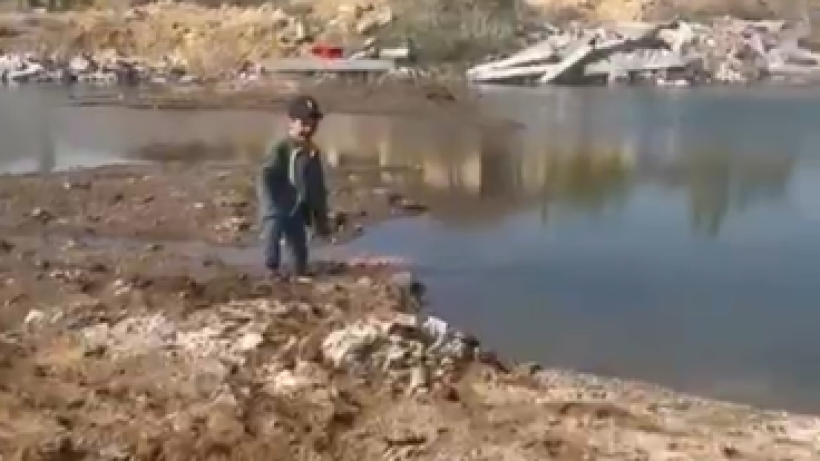  Видеодан кадр 