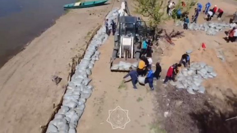  Видеодан кадр 