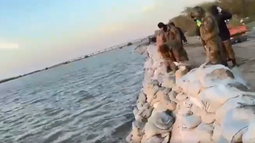  Видеодан кадр 