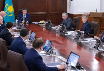 Биыл шегірткенің табиғи түрде ең көп таралуы болады – премьер-министр