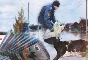 Су тасқыны: қырылған мал иелеріне 1 млрд 198 млн теңге өтемақы берілді