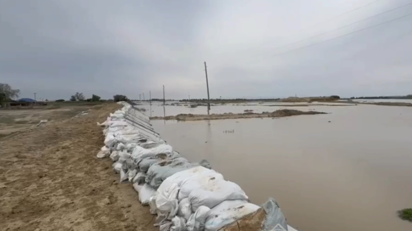  Видеодан кадр 