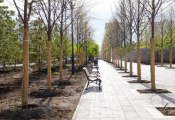 Астанада 170 қоғамдық кеңістік пен аула абаттандырылады