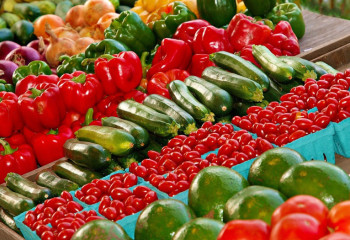 Су тасқыны кезінде көкөніс сақтау қоймаларына залал келген жоқ