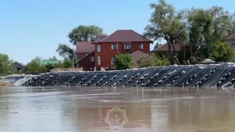  Кадр из видео 