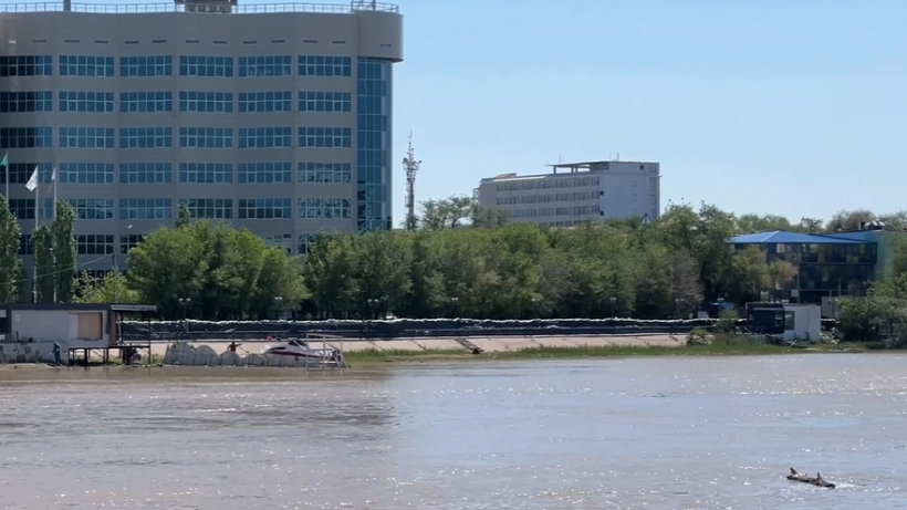  Видеодан кадр 