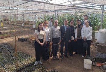 Казахстанские студенты изучают методы выращивания томатов в Казахстане