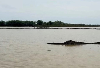 Жайық өзеніндегі су деңгейі тағы көтерілді