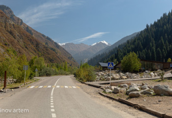 Женщина потерялась в Жамбылской области, отправившись за грибами