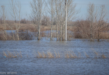 За 12 часов уровень воды в реке Жайык поднялся сразу в нескольких населенных пунктах