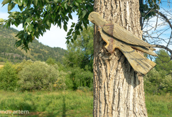 Об опасных ядовитых тварях рассказали в Кыргызстане