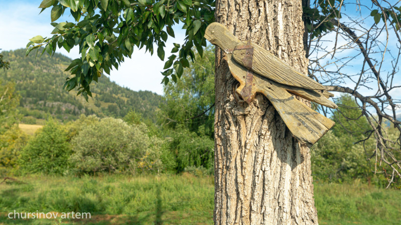  El.kz/Артем Чурсинов 