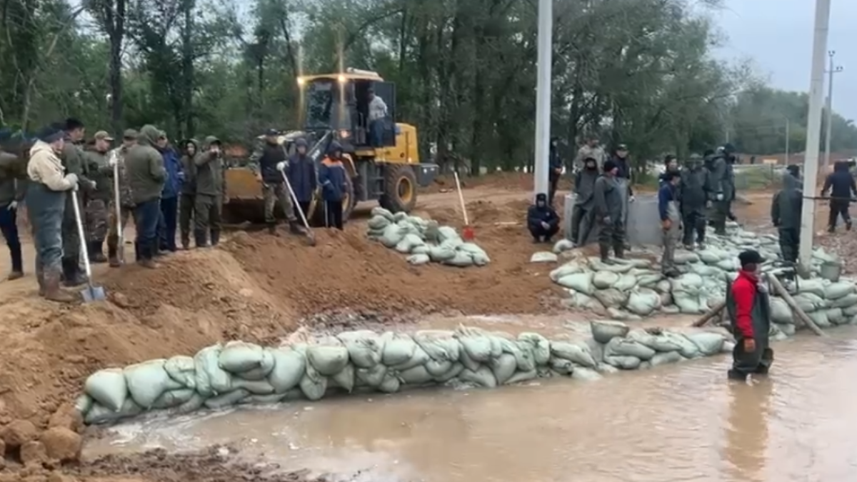  Видеодан кадр 