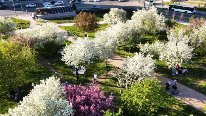  Астана қалалық әкімдігі 