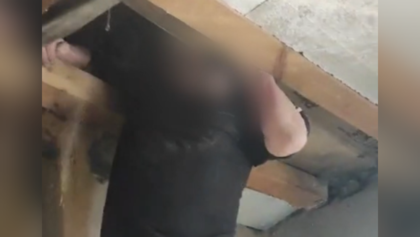  Видеодан кадр 