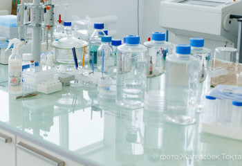 Ученые тестируют лекарство которое поможет вырастить новые зубы у людей