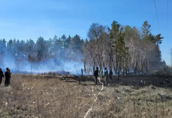 Семей орманындағы 14 адамның өліміне кінәлілер сотталды