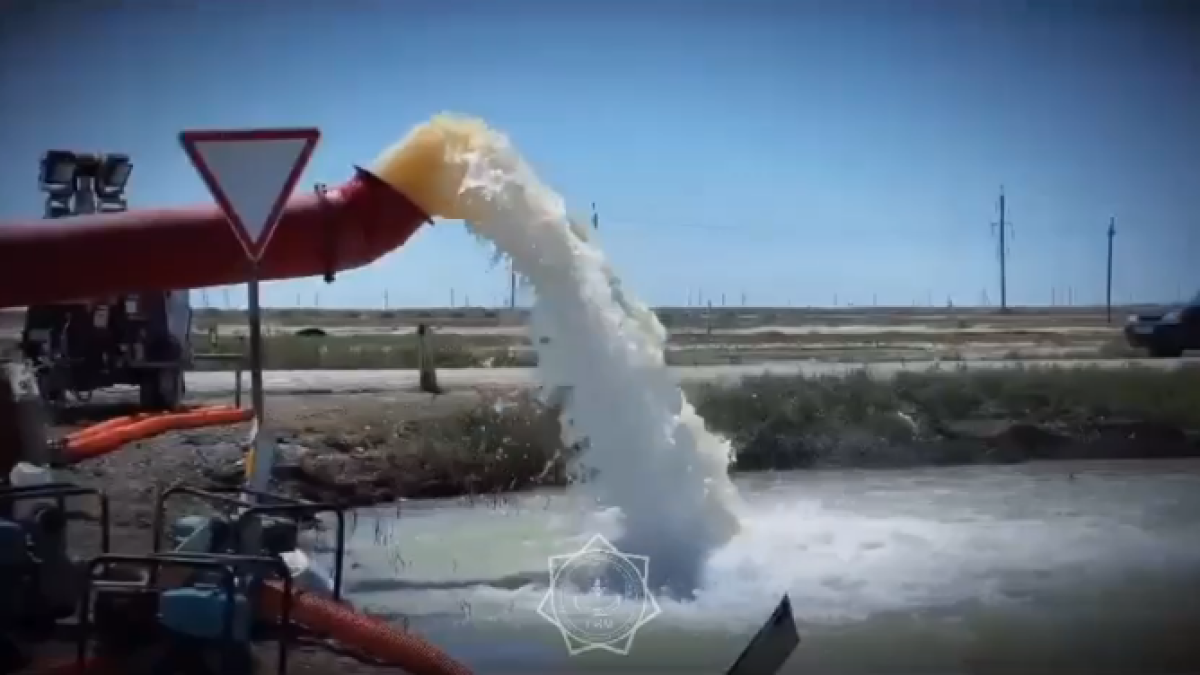  кадр из видео 