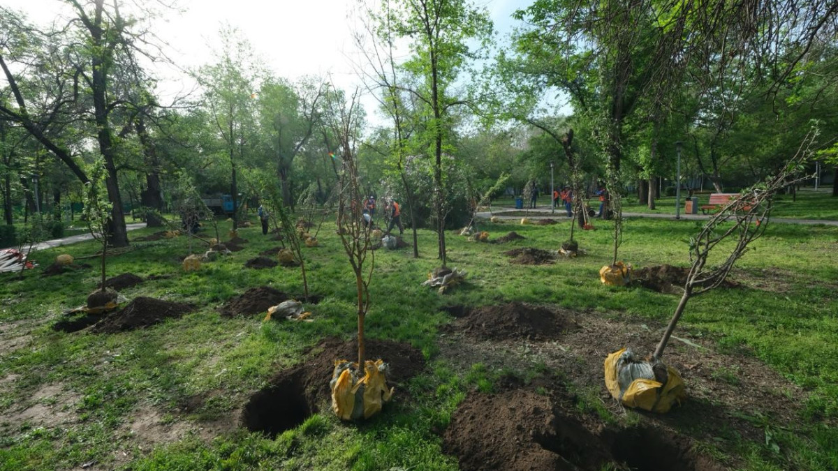  Алматы қаласының әкімдігі 