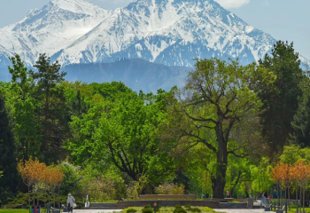 Алматыдағы гүлзарда суретке түскендер 73 мың теңге айыппұл төлейді