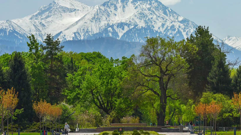  instagram.com/botsadkz 