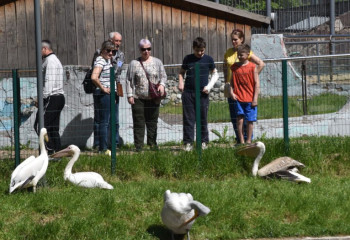 «Фантастические твари и где они обитают»: в Алматинском зоопарке принимают в летнюю школу