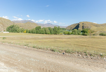 Зачистку от особо опасной саранчи начали в РК